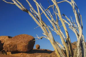 Namibia Imprime: Namibia