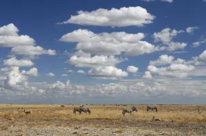 Namibia