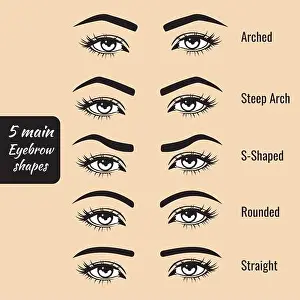 5 tipos básicos de forma de ceja vector ilustración. Moda ceja femenina