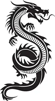 Diseño de vector dragón.