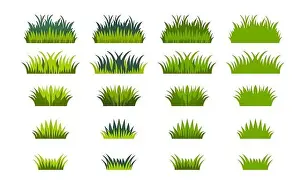Vector de hierba. Sobre un fondo blanco.
