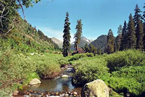 Mineral King, Parque Nacional Sequoia, California.