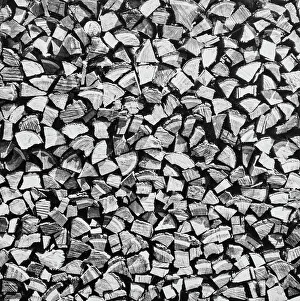 Woodland Scenery Imprime: Wood