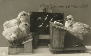 Bird Communication Imprime: Chicks at school
