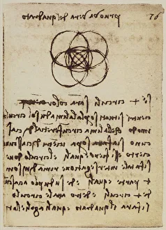 High Renaissance Drawings Imprime: Geometric study on the intersection of circles and squares