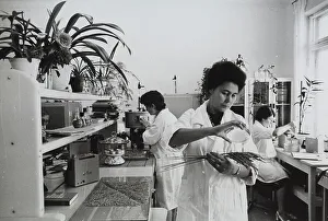 Female Lab Technician Imprime: Laboratory experiments