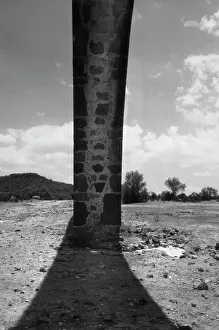 Historic Building Elements Imprime: Masonry arch