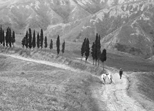 Country Road Landscape Photography Imprime: Returning from the fields