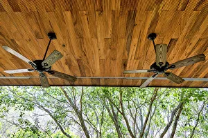 Architectural Detail Imprime: Detail of fans on a ceiling