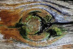 Wood Grain Pattern Imprime: Pattern in wood