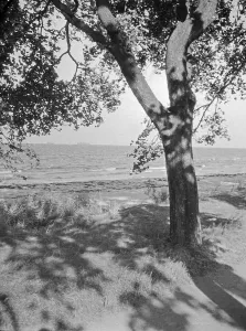 German Baltic Coast Imprime: Danzig