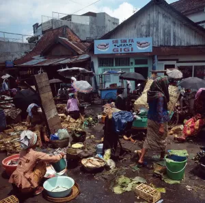 java/indonesia