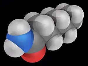 Imágenes fechadas el 11 de mayo de 2012: Hexanamida caprolamida, modelo molecular.