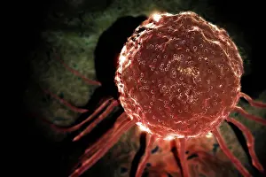 Biomedical Science Images Imprime: Microscopic styled view of a stem cell