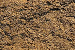 Uninhabited Stone Landscape Imprime: Natural rock or Stone surface as background texture
