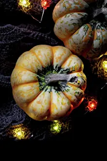 Dark Background Still Life Photography Imprime: Pumpkin