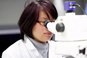 Laboratory Equipment Use Imprime: Scientist using microscope in lab