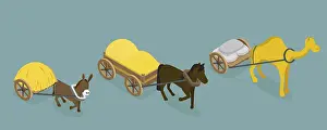 Agricultural Transportation Imprime: 3D Isometric Flat Vector Set of Draft Animals