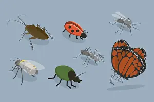 Outdoor Wildlife Photography Imprime: 3D Isometric Flat Vector Set of Insects