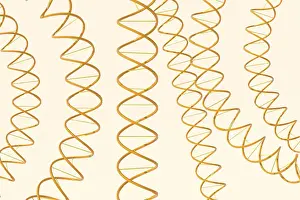 Deoxyribonucleic Acid Imprime: 3d rendering of DNA (deoxyribonucleic acid) structure