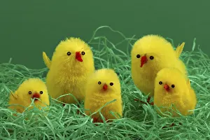 Easter Chicks Imprime: 5 Easter chicks on Easter grass