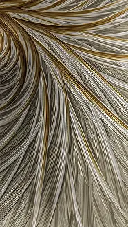 Abstract Feather Background Imprime: Abstract feather background - computer-generated image