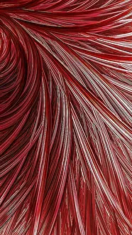 Fractal Geometry Images Imprime: Abstract feather background - computer-generated image