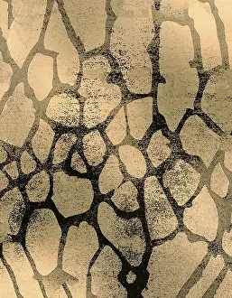 Cracked Earth Texture Imprime: Abstract pattern featuring organic