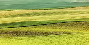Abstract Summer Landscape Imprime: Abstract pattern of rolling striped fields in summer