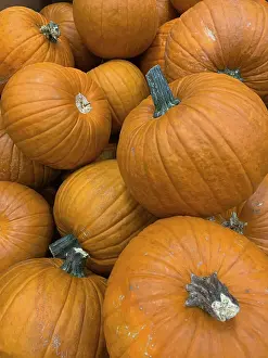 Autumnal Atmosphere Image Imprime: Abstract several pumpkin patch background