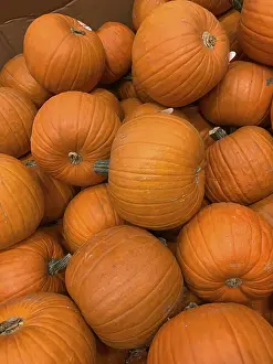 Thanksgiving Day Celebration Imprime: Abstract several pumpkin patch background