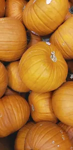 Deserted Farmhouse Scene Imprime: Abstract several pumpkin patch background