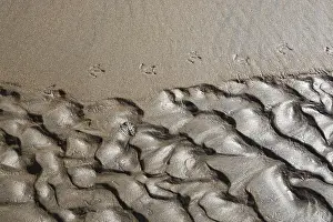 Scandinavian Landscape Imprime: Abstract sand pattern background
