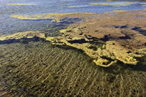 Punta De Fuencaliente Landscape Imprime: Algae in the crystallisation pool
