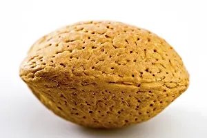 Indoor Studio Photography Imprime: Almond nut