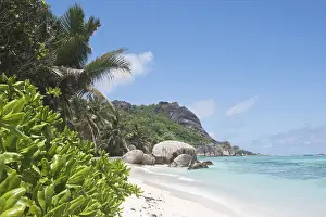 Anse Source DArgent Imprime: Anse Source dArgent Beach