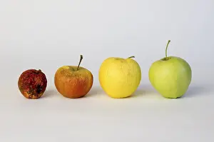 Symbolic Apple Image Imprime: Apple aplples