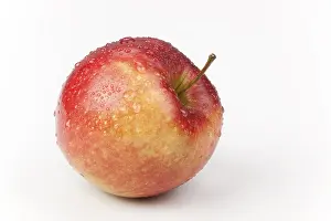 Red Apple Nutrition Imprime: Apple (Malus)