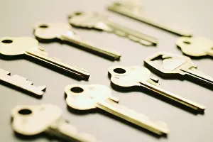 Indoor Studio Photography Imprime: Array of keys