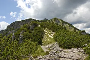 German Alps Imprime: Ascent, path to the summit, Mt