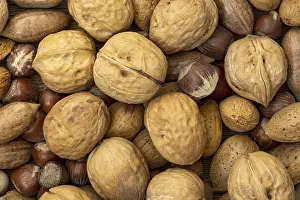 Assorted Nuts Imprime: Assortment of nuts in shells. Selection of different types of nuts