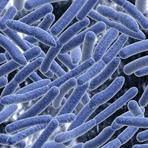 Risk Of Infection Imprime: Bacteria