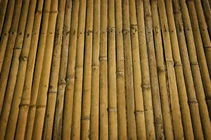 Deserted Bamboo Scene Imprime: Detail of bamboo surface