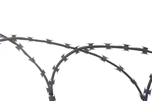 Captive Animal Imprime: Barbed wire