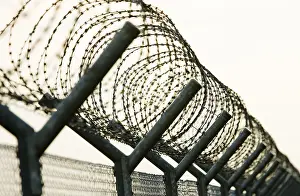Barbed Wire Fence Imprime: Barbed wire
