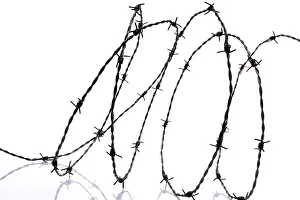 Barbed Wire Fence Imprime: Barbed wire