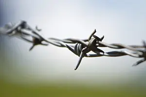 Barbed Wire Fence Imprime: Barbwire