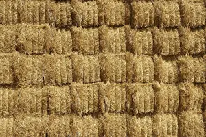 Deserted Barn Imprime: Barn with square shape stack on columns outdoor cereal texture