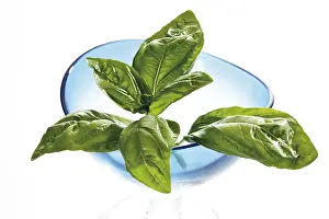Spice Nutrition Facts Imprime: Basil