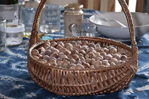 Grocery Shopping Essentials Imprime: Basket full of hazelnuts on the table
